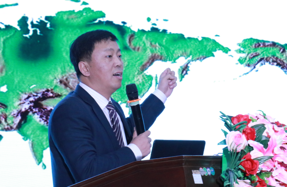 星空官方網頁版